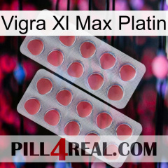 Vigra Xl Max Platinum 19